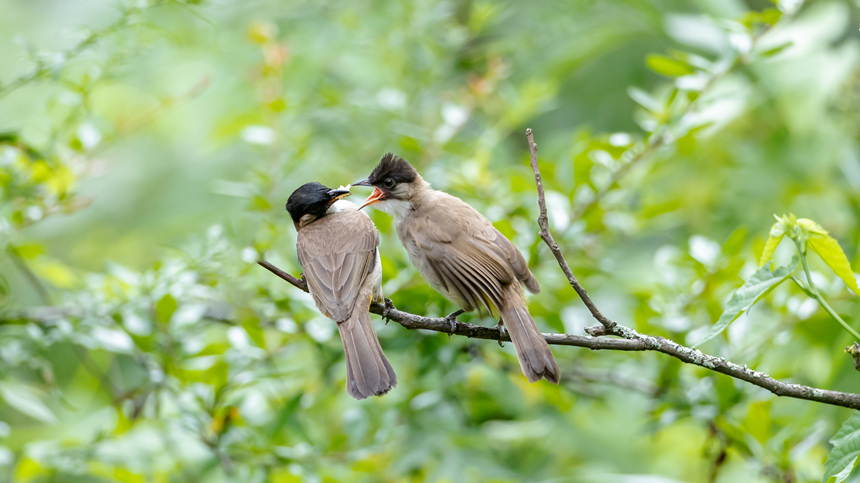 88ؑcϴ^(q)l(xing)gĔzSlz