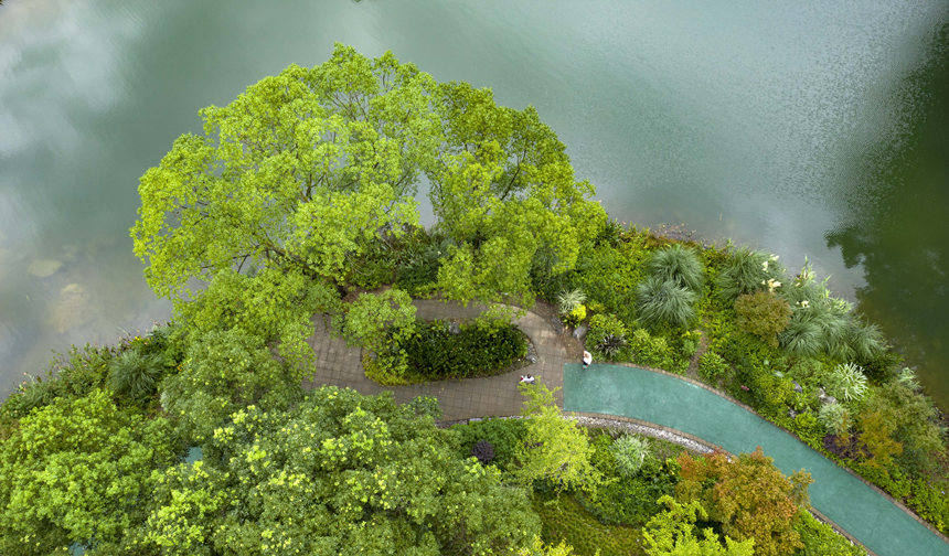 ؑcбՅ^(q)Nɽ^(q)͢z