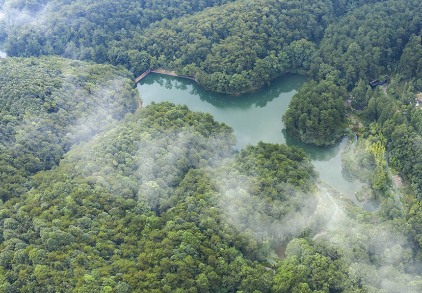 ؑcбՅ^(q)Nɽ^(q)͢z