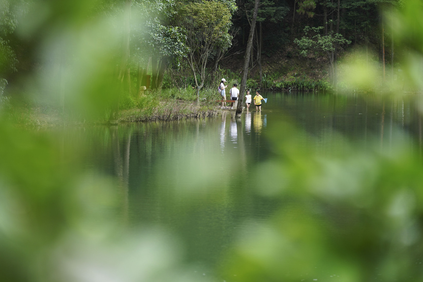 ؑcбՅ^(q)Nɽ^(q)͢z