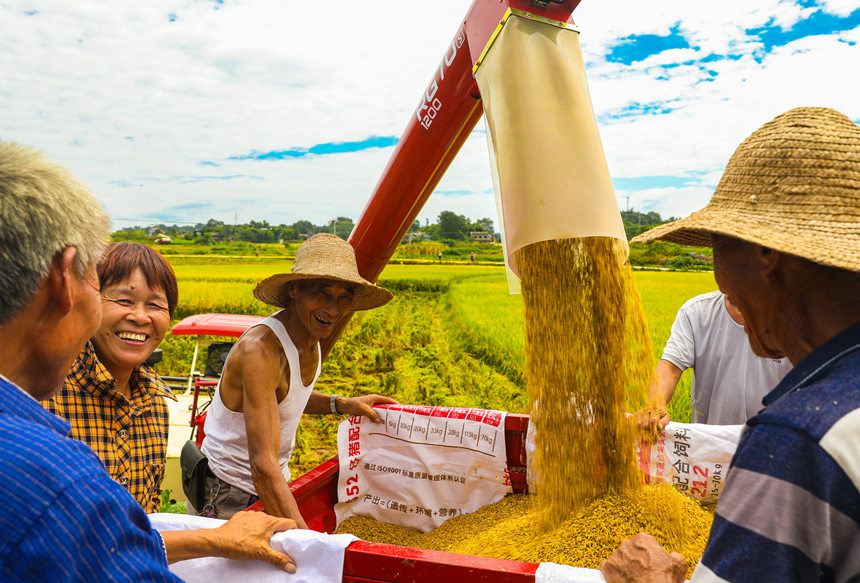 |hɳƺ(zhn)״r(nng)C(j)ոˮL(zhng)Ɣz