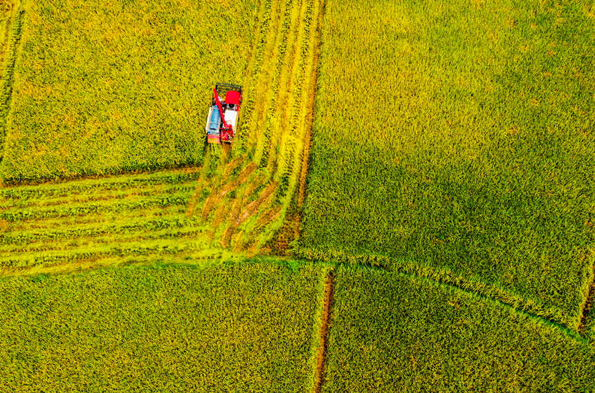 ոCډ|hɳƺ(zhn)״gոˮLƔz