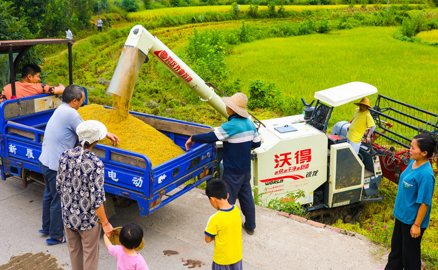 ոC(j)ډ|hL(zhn)r(nng)ոˮLƔz