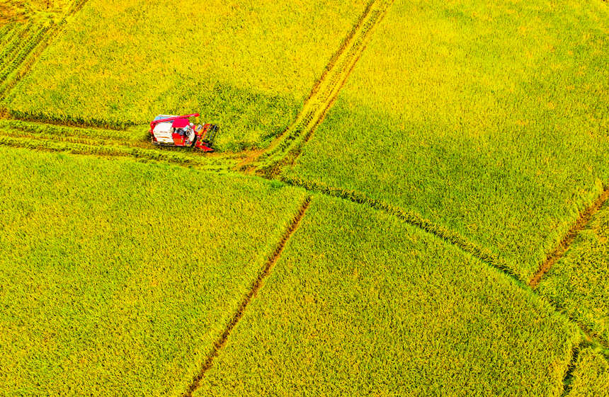 ոC(j)ډ|hɳƺ(zhn)״gոˮLƔz