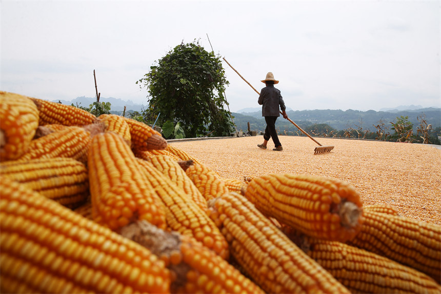 ؑcǭ^(q)Ϫ(zhn)ٵ^(q)׵r(nng)z 