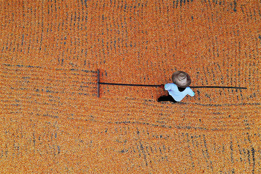 ؑcǭ^(q)Ϫ(zhn)ٵ^(q)׵r(nng)z 