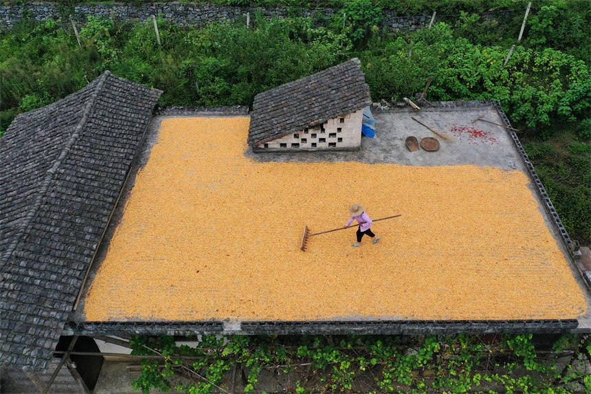 񂃓ץԼҘ피߅Ժz 