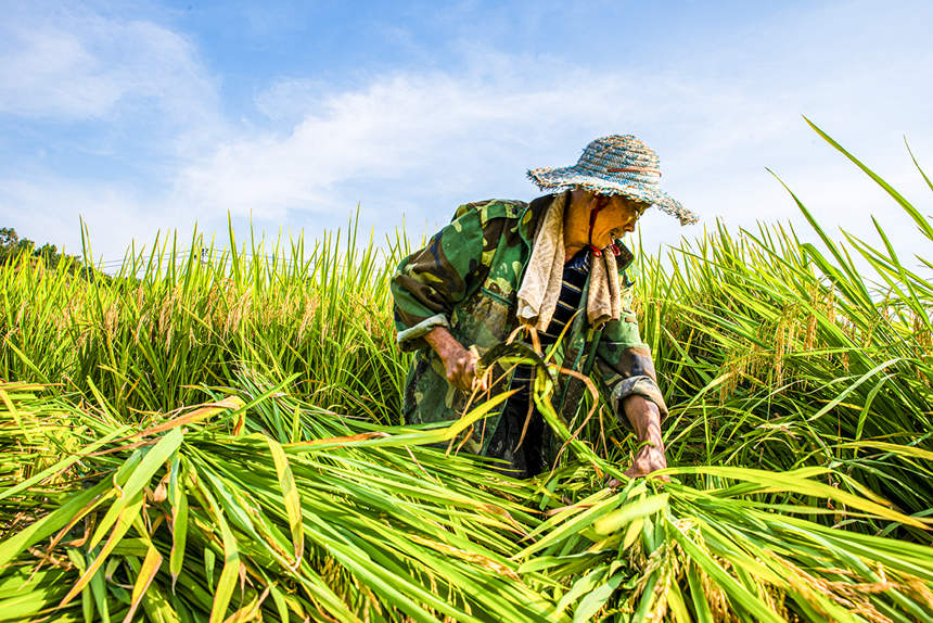 ϴ^(q)d¡(zhn)𻨴ˮƷNչʾʾոˮ܊z