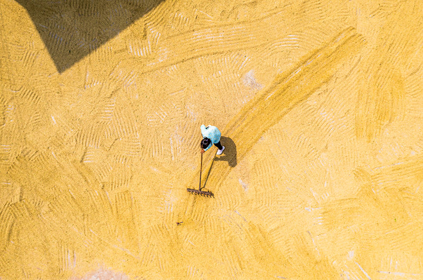 ϴ^(q)d¡(zhn)̴ץס񵾹껕Fz