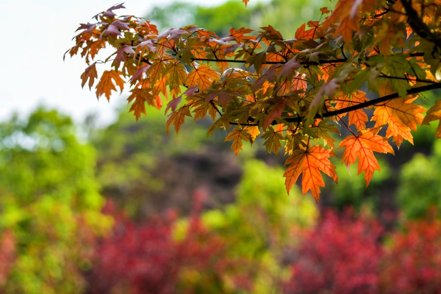 VꖍuǄ(chung)B(ti)޾ӡz