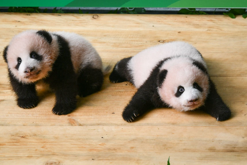 ؑc(dng)@p̥؈M(mn)u(l)z