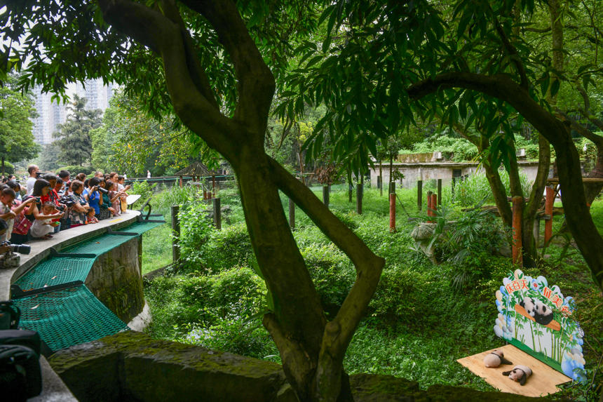 ؑc(dng)@p̥؈cοʽҊu(l)z