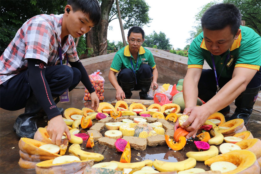 B(yng)TĹϹƴP(pn)˻ܹ㽶ʮNϹɽܔz