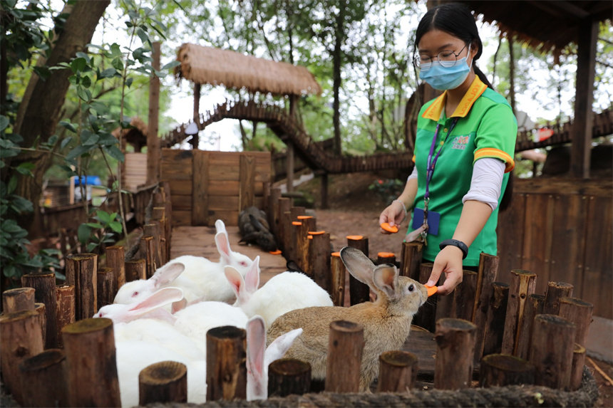 B(yng)TСͶʳӂġ}ɽܔz