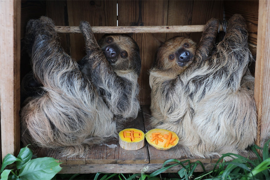 кġʽ_ĺӰɽܔz