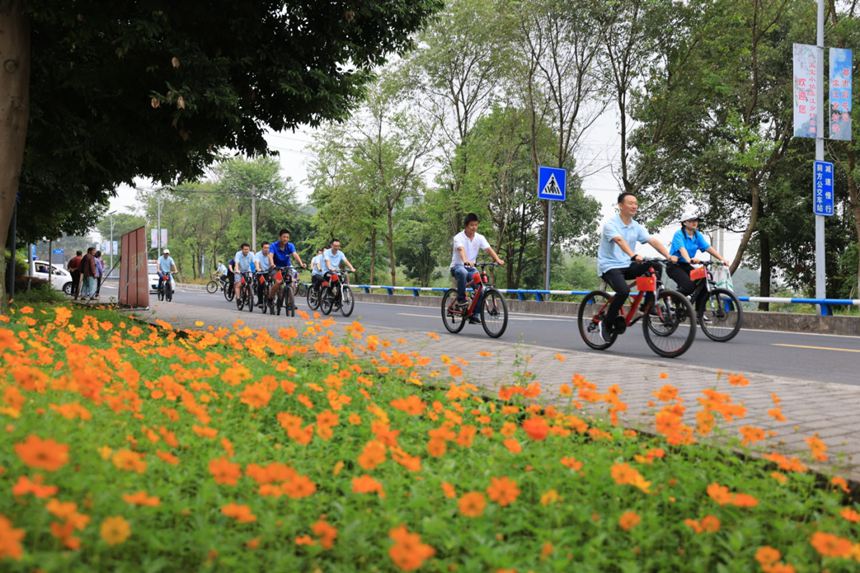 匚(zhn)TL(fng)wǬz