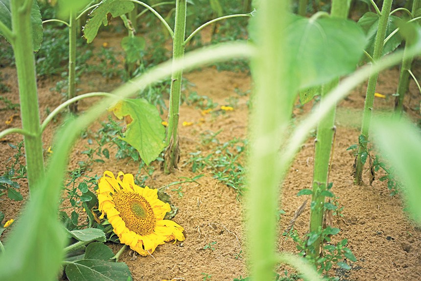 919(ni)ɹŞmɳĮɳĮԇлɳĮзNֲտo։