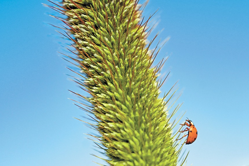 928(ni)ɹŞmɳĮɳĮԇлɳĮдƬֲSСxڴ˰