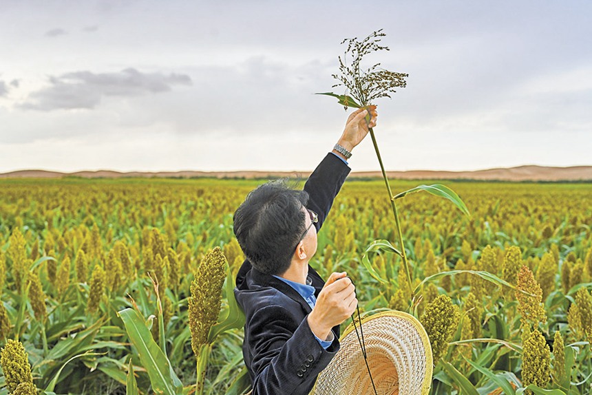 919(ni)ɹŞmɳĮɳĮԇлˆTڸռ(sh)(j)