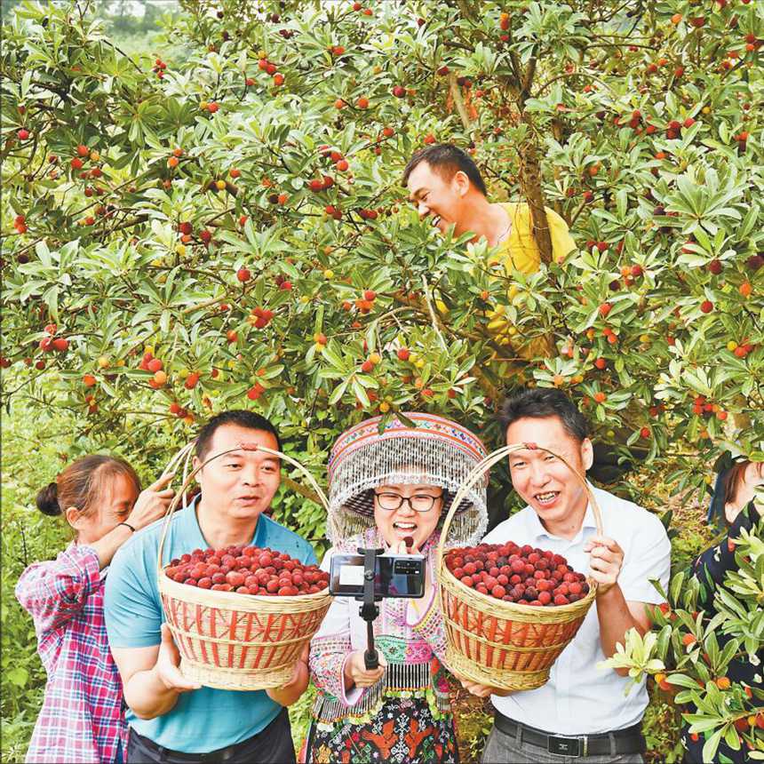 《全國(guó)脫貧攻堅(jiān)先進(jìn)直播帶貨》 6月18日,全國(guó)脫貧攻堅(jiān)先進(jìn)個(gè)人陳國(guó)強(qiáng)(前排左一)為當(dāng)?shù)貎?yōu)質(zhì)楊梅直播帶貨。楊波 攝