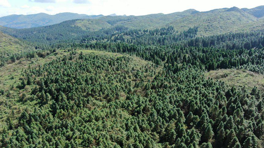 Shм(j)Ȼo(h)^(q)o˅^(q)ֲSAz