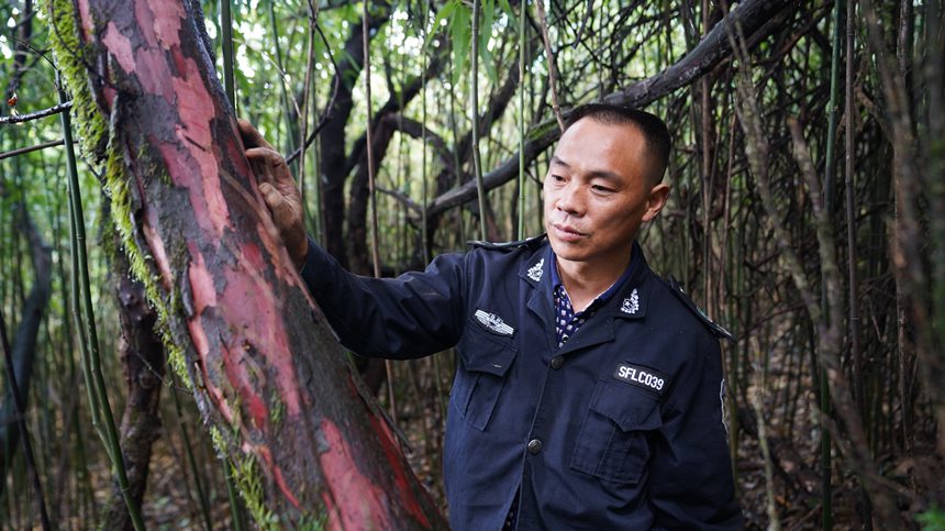 dAÿ¶Ѳo^(q)(ni)ϷtɼAz