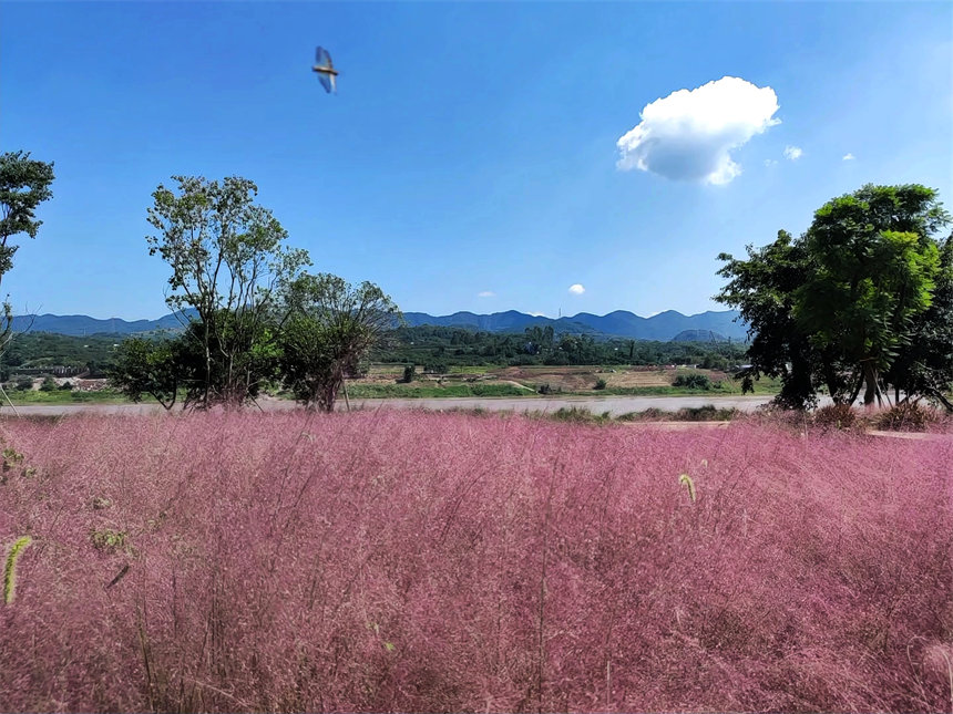 VꖍuB(ti)ޏ(f)^(q)pӯVķ˝Mһ@ͮz