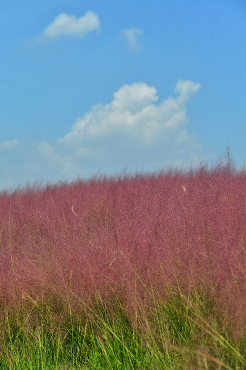 h(yun)h(yun)ȥɫҰ߅Ĳϼ΢L(fng)ppuҷz