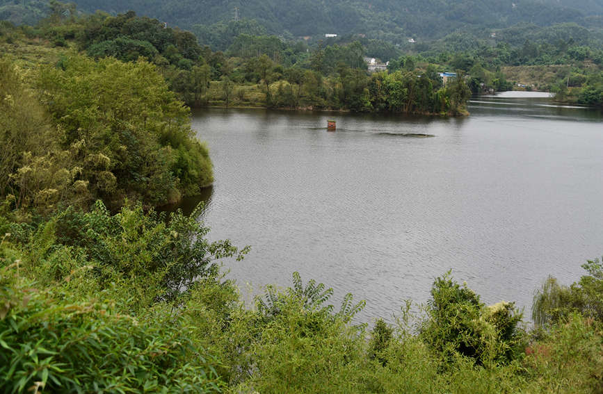 ۹ȺL(fng)箋SӔz