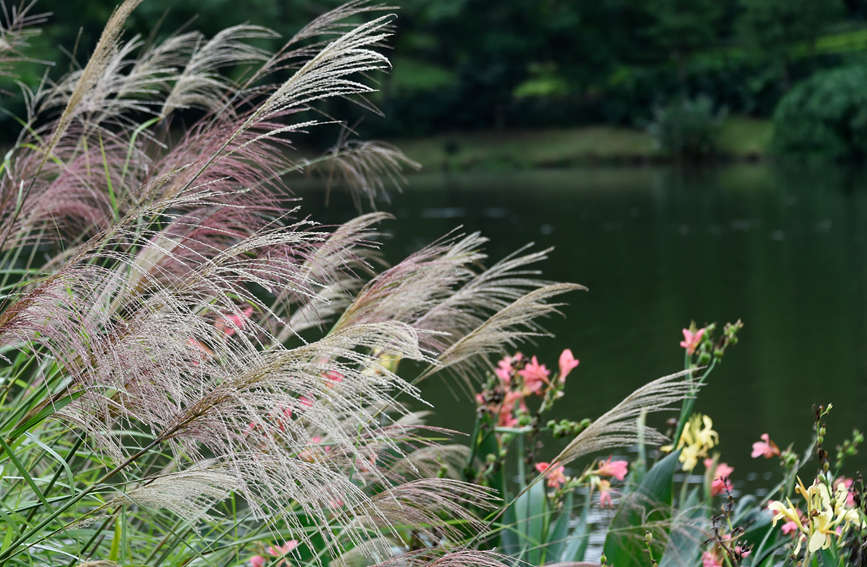 r(sh)۹ȺL(fng)箋SӔz