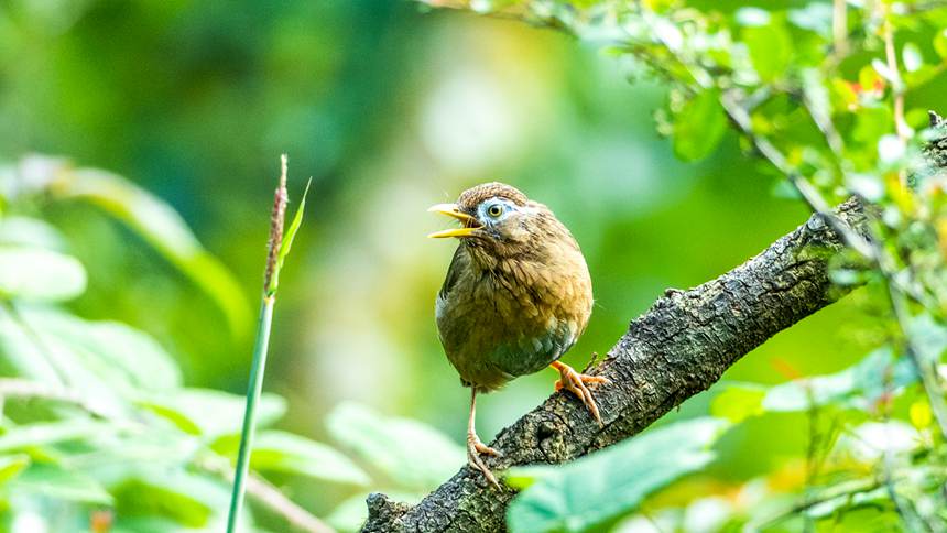 ɽ(gu)Ȼo(h)^(q)ĔzĮ(hu)üz