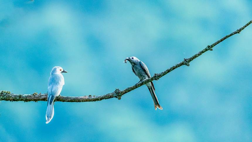 ɽȻo(h)^(q)ĔzĻҾβz