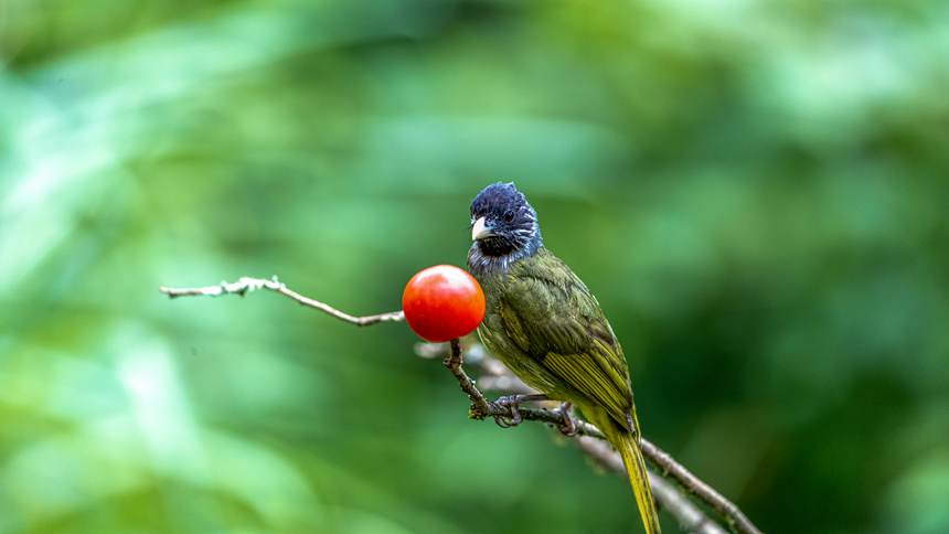 ɽ(gu)Ȼo(h)^(q)ĔzĻҼylz