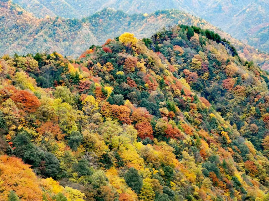 ؑcгǿڿhɽϲ~ֱMȾSMz