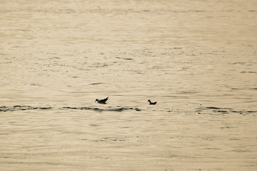 ؑcT(mn)ɽR̎ӭ(li)ttgz