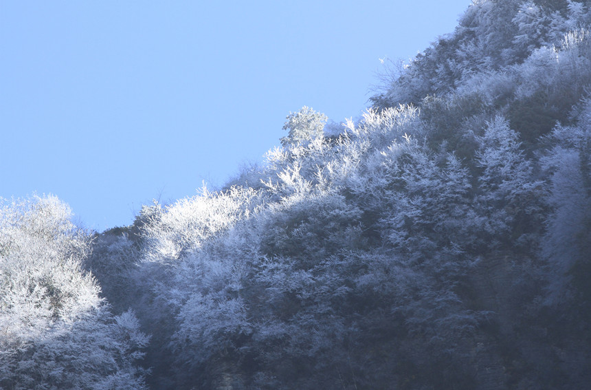 1110׍{֮pF(xin)Fڡ^Rȑcz