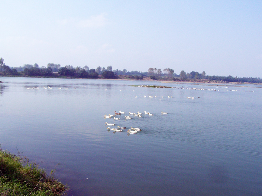 ؑcҝع@ؑc֘I(y)ֹD