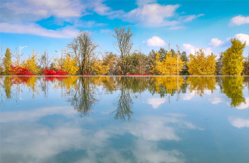 藍(lán)天彩林倒影水中,絕美如畫。武隆景區(qū)供圖