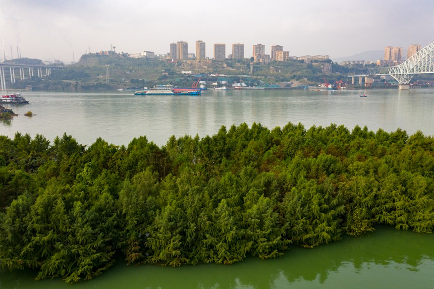 ɽɼп˹ɳ(wn)찶svz