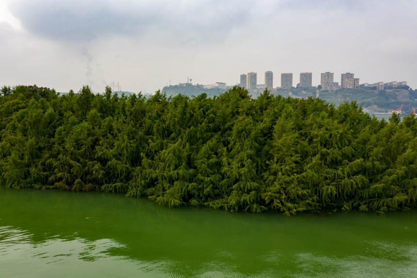 ɽɼп˹ɳ(wn)(k)ásvz