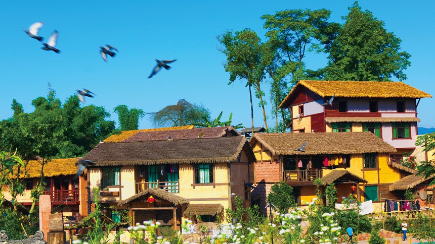 山^(q)d¡(zhn)YݻٲͥԺDؑcסl(xing)ίD