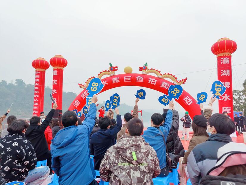 u(hu)F(xin)(chng)z