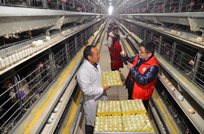 ƼɆTָ(do)JuB(yng)ֳg(sh)Sz