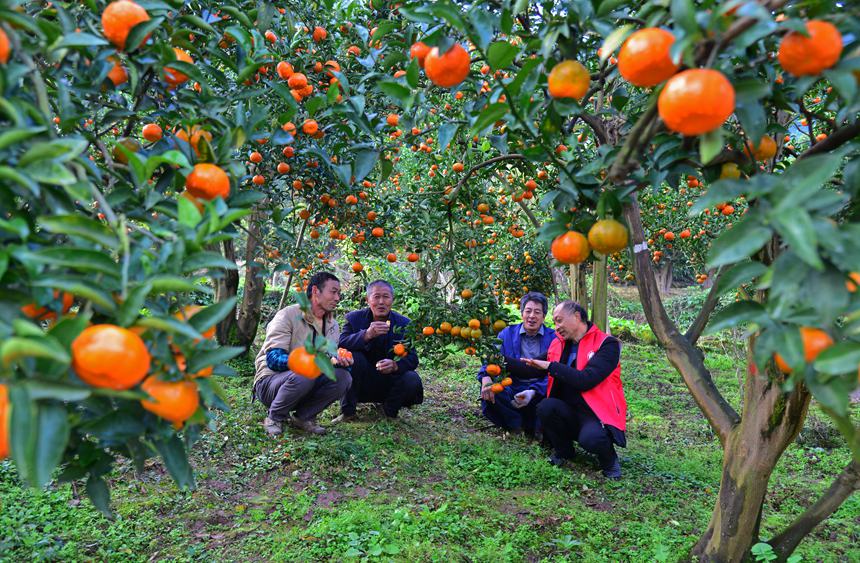 ƼɆTָ(do)r(nng)żtSz