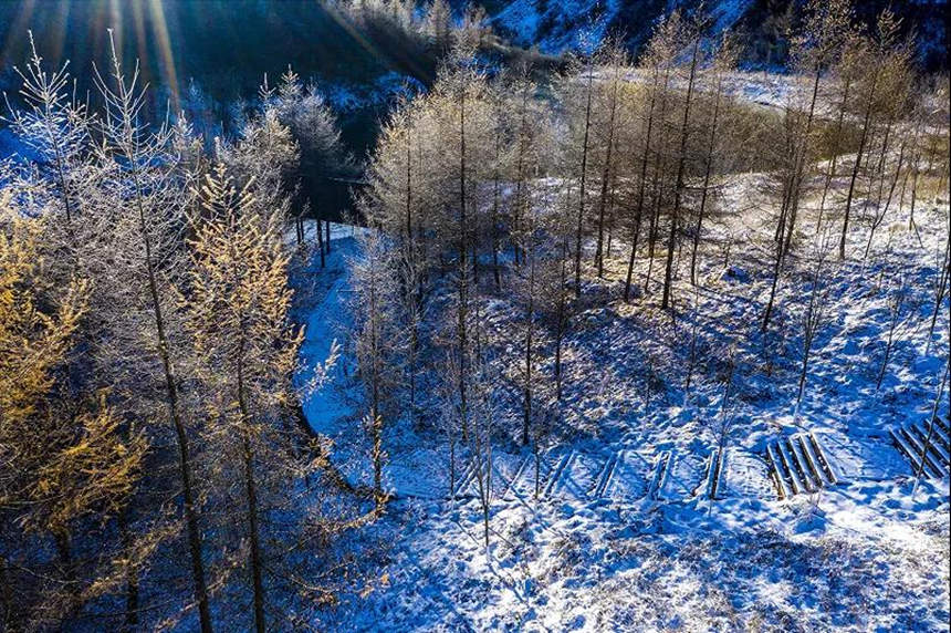 ѩԭFڡ^L(fng)(qing)z