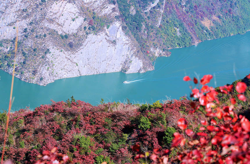 ؑcɽhLɰļt~ɽҰաRȑcz