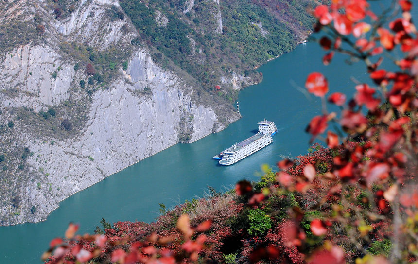 ؑcɽhLɰļt~ɽҰRȑcz