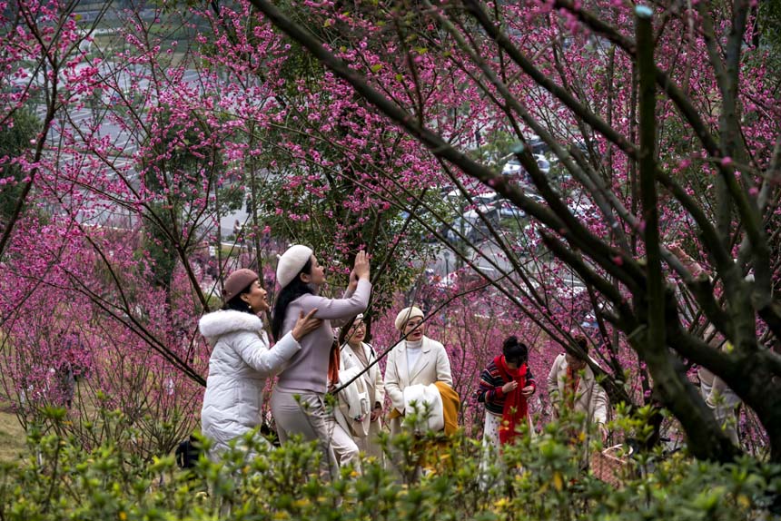 ظ蘷ɽʰAɽ÷Rɻο͠ӰSM(jn)z