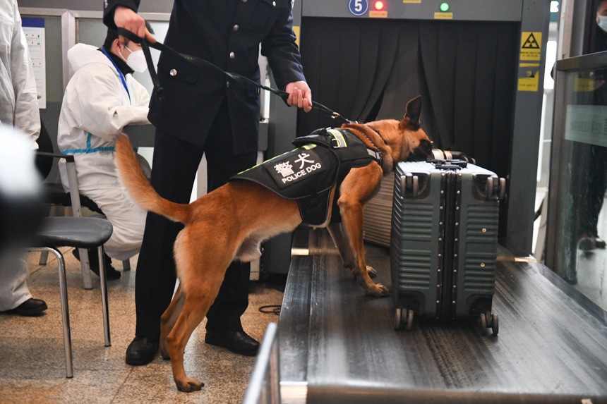 ؑcF·̎ľȮؑcվVѱ_\(yn)ȫuz