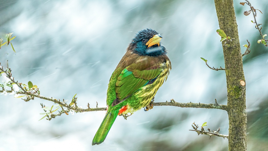 ؑcϴ^(q)ɽƺ(zhn)RδĔzĴMľBz